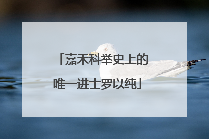 嘉禾科举史上的唯一进士罗以纯