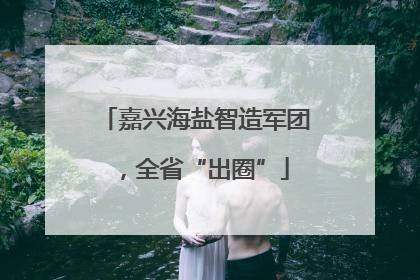 嘉兴海盐智造军团，全省“出圈”