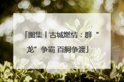 图集丨古城燃情：群“龙”争霸 百舸争渡