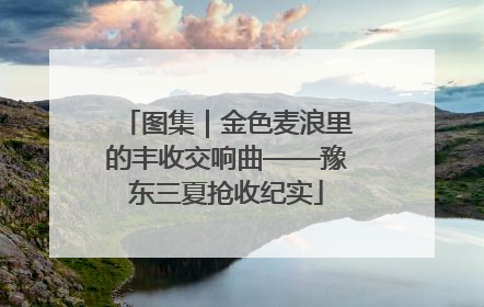 图集｜金色麦浪里的丰收交响曲——豫东三夏抢收纪实