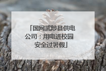国网武陟县供电公司：用电进校园  安全过暑假
