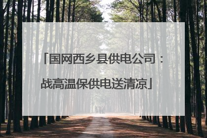 国网西乡县供电公司：战高温保供电送清凉