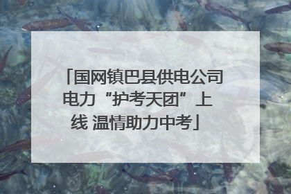 国网镇巴县供电公司 电力“护考天团”上线 温情助力中考