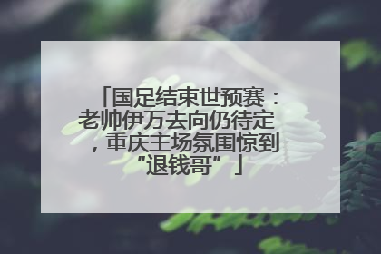 国足结束世预赛：老帅伊万去向仍待定，重庆主场氛围惊到“退钱哥”