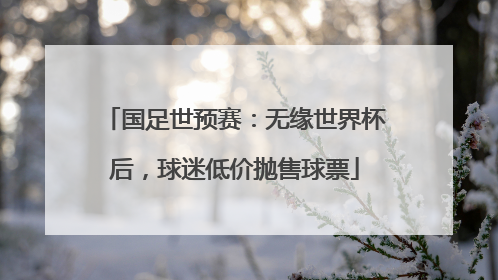 国足世预赛：无缘世界杯后，球迷低价抛售球票