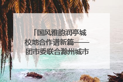 国风雅韵润亭城 校地合作谱新篇——团市委联合滁州城市职业学院助力传统文化“破圈”绽放