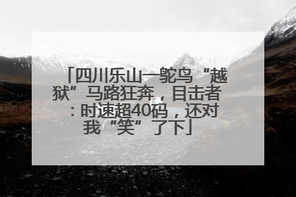 四川乐山一鸵鸟“越狱”马路狂奔，目击者：时速超40码，还对我“笑”了下