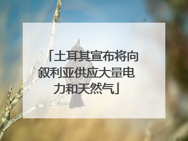 土耳其宣布将向叙利亚供应大量电力和天然气
