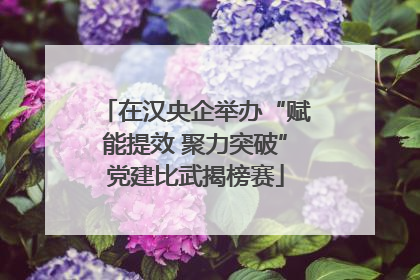 在汉央企举办“赋能提效 聚力突破”党建比武揭榜赛