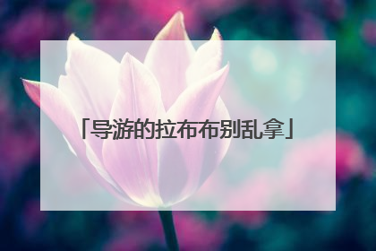 导游的拉布布别乱拿