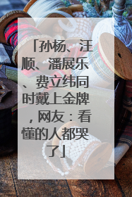 孙杨、汪顺、潘展乐、费立纬同时戴上金牌，网友：看懂的人都哭了
