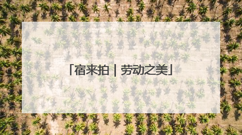 宿来拍｜劳动之美