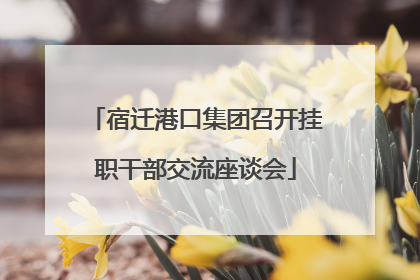 宿迁港口集团召开挂职干部交流座谈会