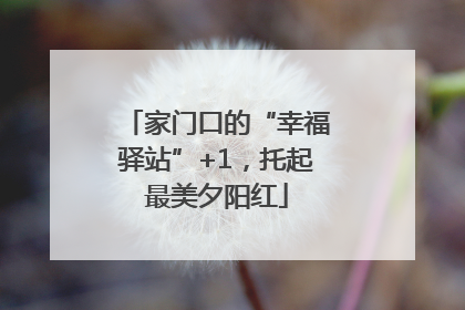 家门口的“幸福驿站”+1，托起最美夕阳红