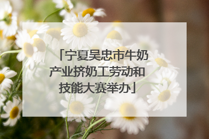 宁夏吴忠市牛奶产业挤奶工劳动和技能大赛举办