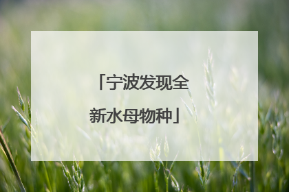 宁波发现全新水母物种