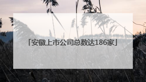 安徽上市公司总数达186家