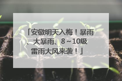 安徽明天入梅！暴雨、大暴雨、8～10级雷雨大风来袭！