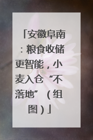 安徽阜南：粮食收储更智能，小麦入仓“不落地”（组图）