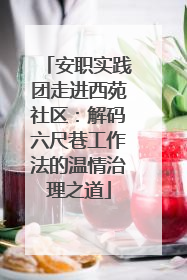 安职实践团走进西苑社区：解码六尺巷工作法的温情治理之道