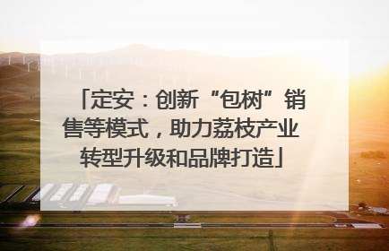 定安：创新“包树”销售等模式，助力荔枝产业转型升级和品牌打造