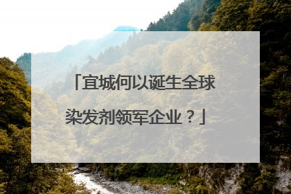 宜城何以诞生全球染发剂领军企业？