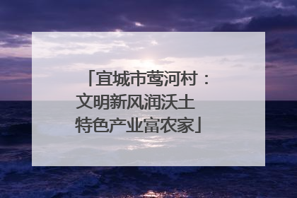 宜城市莺河村：文明新风润沃土 特色产业富农家