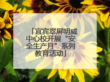 宜宾翠屏明威中心校开展“安全生产月”系列教育活动