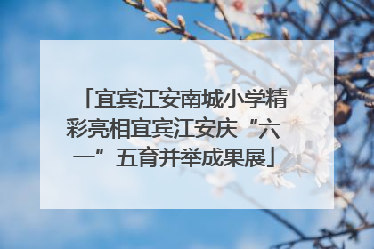 宜宾江安南城小学精彩亮相宜宾江安庆“六一”五育并举成果展
