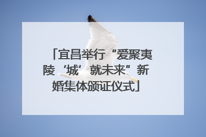 宜昌举行“爱聚夷陵‘城’就未来”新婚集体颁证仪式