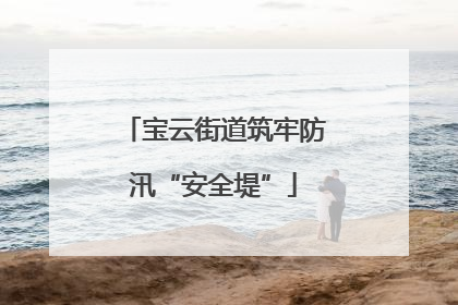 宝云街道筑牢防汛“安全堤”
