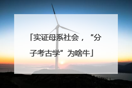 实证母系社会，“分子考古学”为啥牛