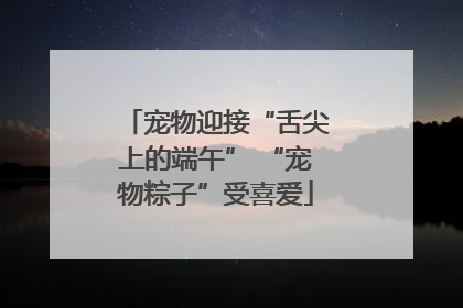 宠物迎接“舌尖上的端午” “宠物粽子”受喜爱