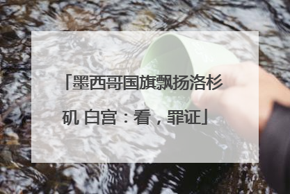 墨西哥国旗飘扬洛杉矶 白宫：看，罪证