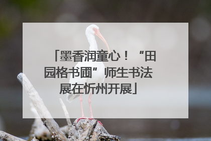 墨香润童心！“田园格书圃”师生书法展在忻州开展