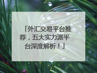 外汇交易平台推荐，五大实力派平台深度解析！