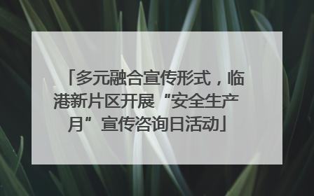 多元融合宣传形式，临港新片区开展“安全生产月”宣传咨询日活动