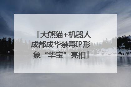 大熊猫+机器人 成都成华禁毒IP形象“华宝”亮相