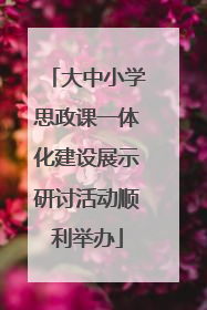 大中小学思政课一体化建设展示研讨活动顺利举办