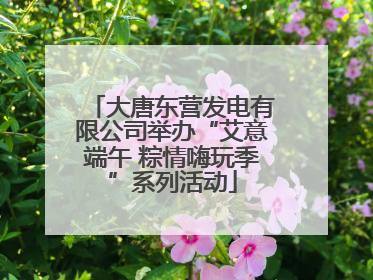 大唐东营发电有限公司举办“艾意端午 粽情嗨玩季”系列活动