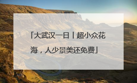 大武汉一日丨超小众花海，人少景美还免费