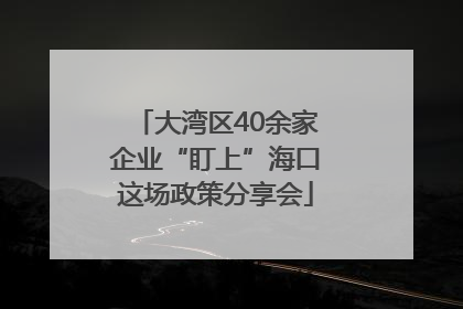 大湾区40余家企业“盯上”海口这场政策分享会