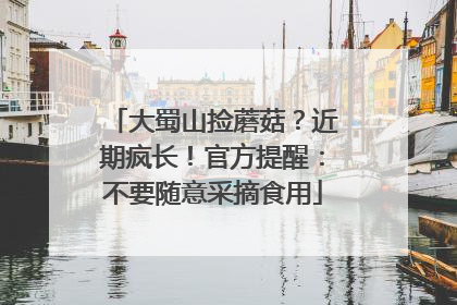 大蜀山捡蘑菇？近期疯长！官方提醒：不要随意采摘食用