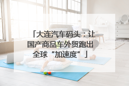 大连汽车码头：让国产商品车外贸跑出全球“加速度”