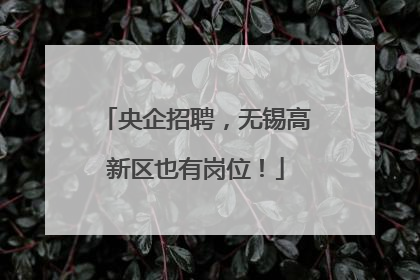 央企招聘，无锡高新区也有岗位！