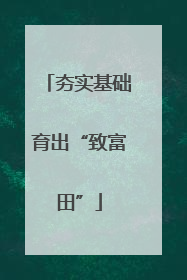 夯实基础育出“致富田”