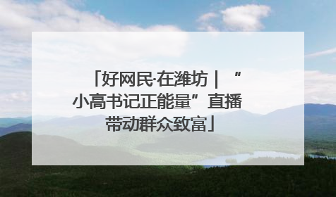 好网民·在潍坊｜“小高书记正能量”直播 带动群众致富