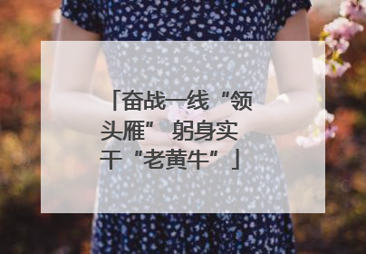 奋战一线“领头雁” 躬身实干“老黄牛”