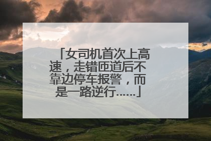 女司机首次上高速，走错匝道后不靠边停车报警，而是一路逆行……