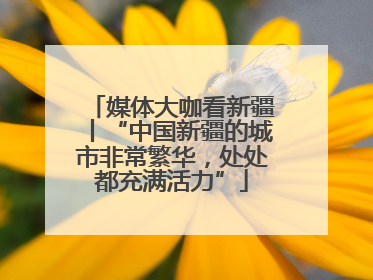 媒体大咖看新疆丨“中国新疆的城市非常繁华，处处都充满活力”